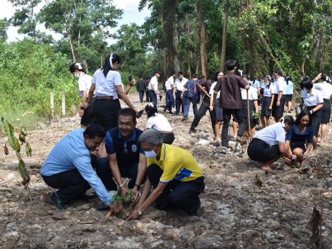 โครงการปลูกจิตสำนึกรักษาทรัพยากรธรรมชาติและป่าไม้